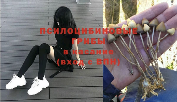 стафф Осташков