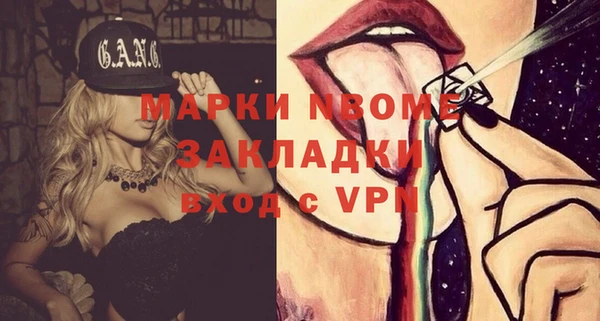 стафф Осташков