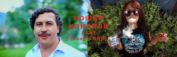 амф Осинники