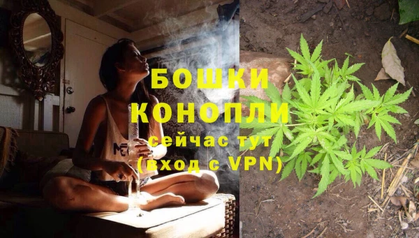 гидра Вуктыл