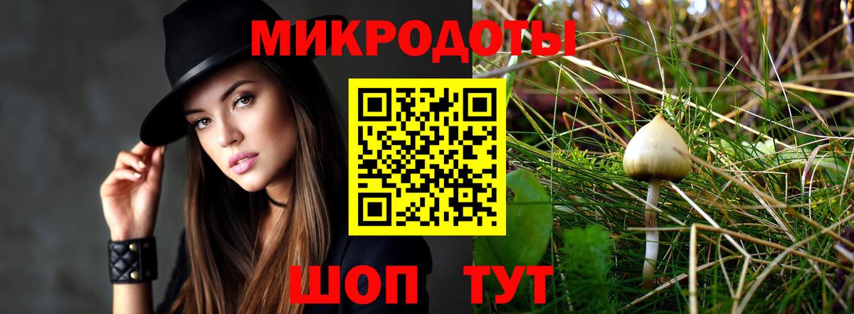 Галлюциногенные грибы Cubensis Минусинск
